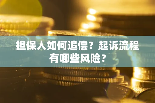 北京担保人如何追偿？起诉流程有哪些风险？
