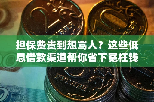 北京担保费贵到想骂人？这些低息借款渠道帮你省下冤枉钱