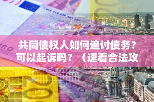 北京共同债权人如何追讨债务？可以起诉吗？（速看合法攻略）